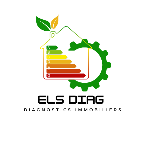 Logo de l'auto-entreprise ELS DIAG